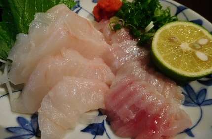 珍魚！ギンポ