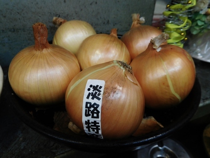 淡路の玉葱！