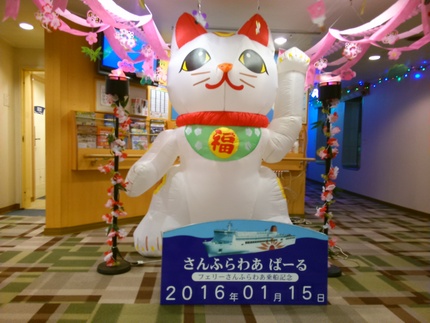 大分に帰ります！