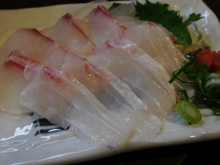 和歌山産！石鯛