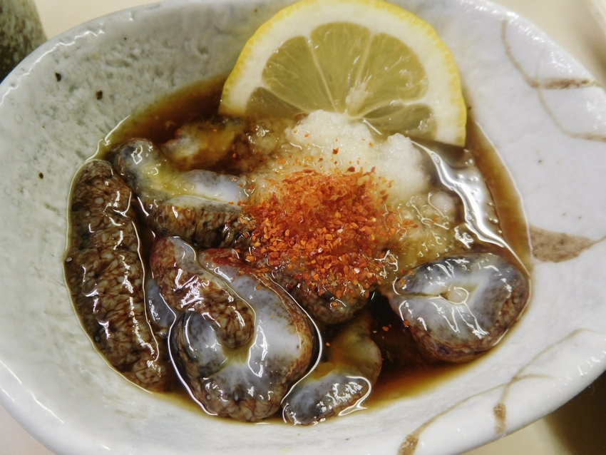 昼網の赤ナマコ！