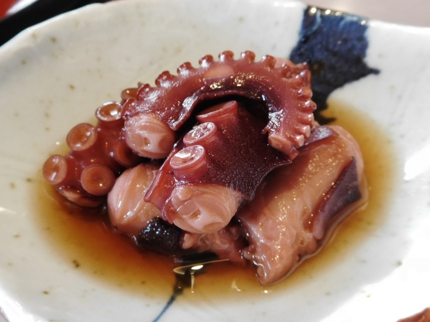 明石たこ煮付け！