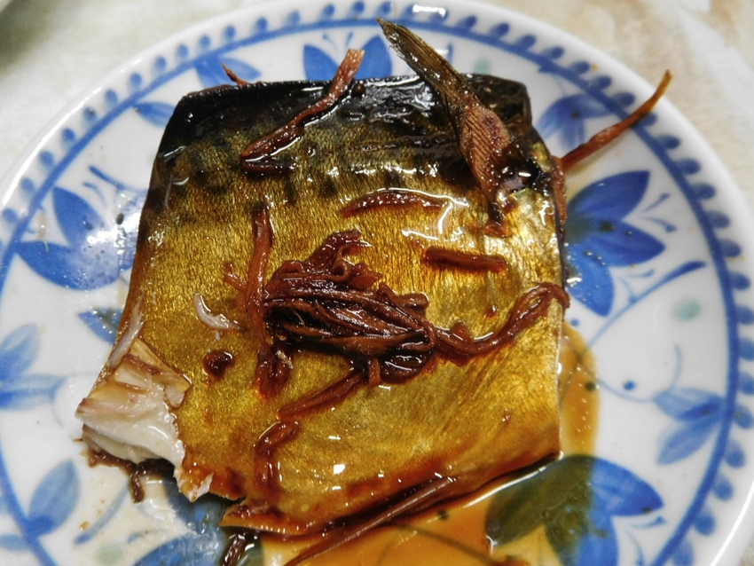 鯖の煮付け！