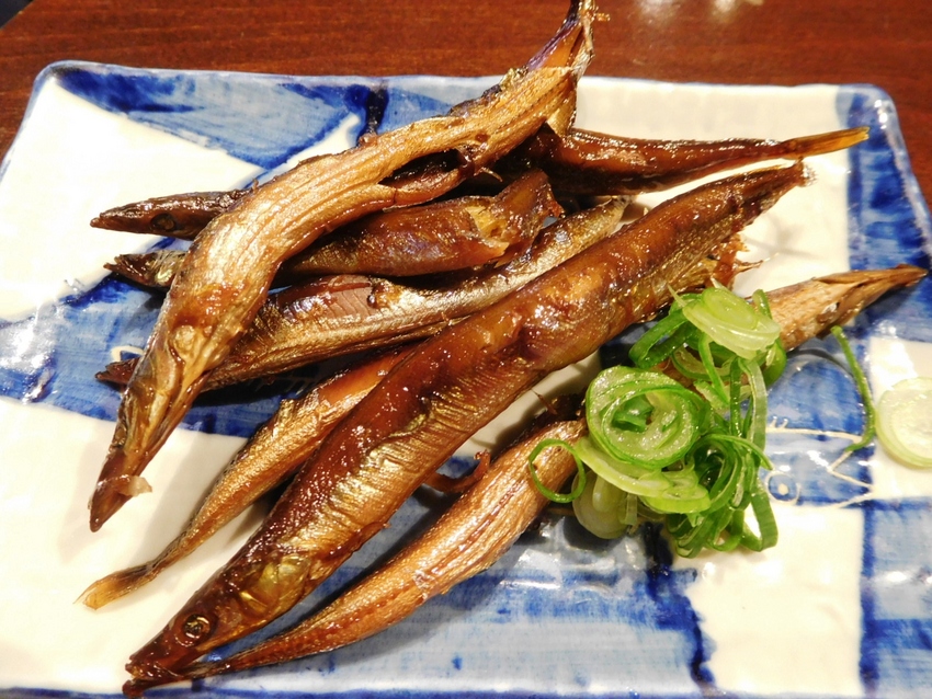 またまたカマスゴ２種！
