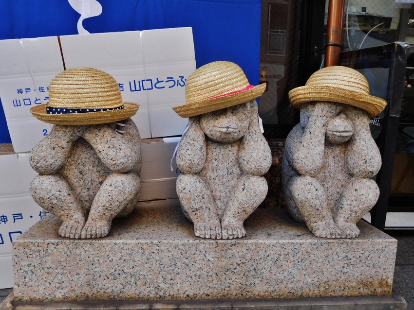 おサルさんも暑い！