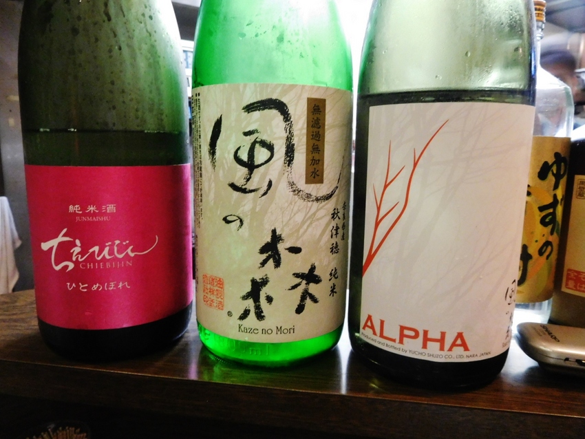 ちえびじん 対 風の森！