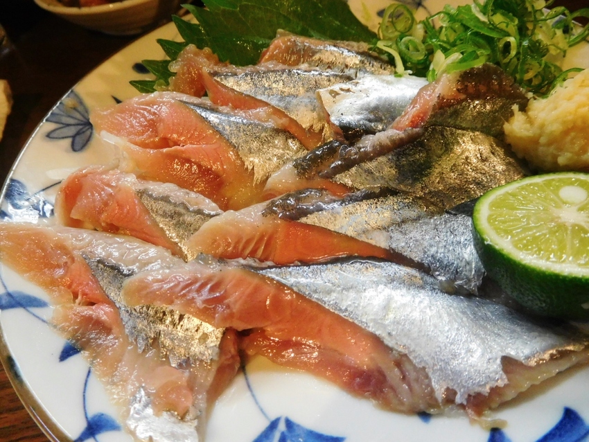 爆漁！サンマは？