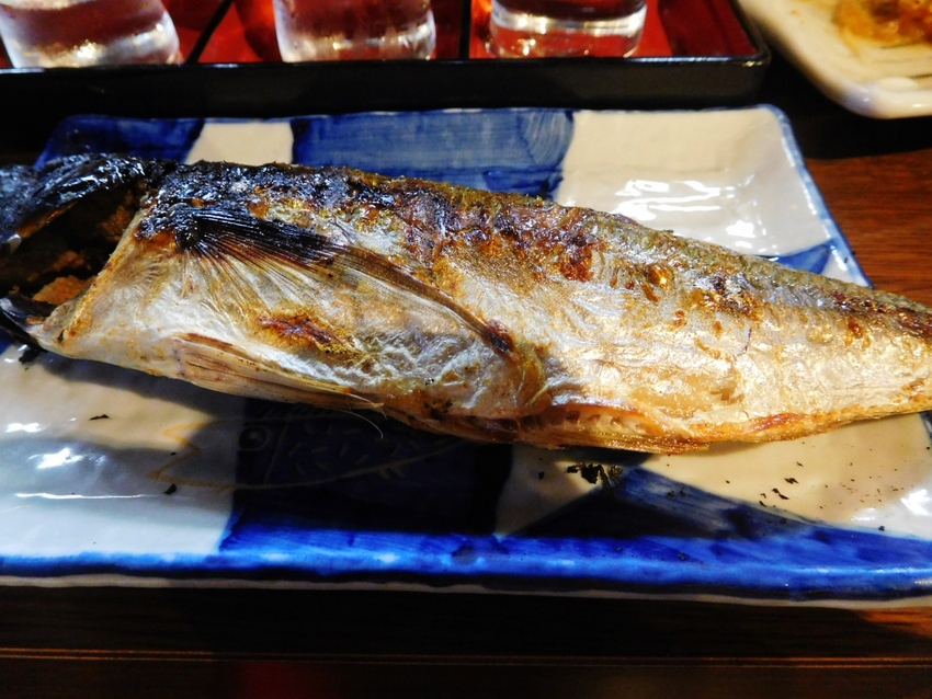 たまには鯵も！
