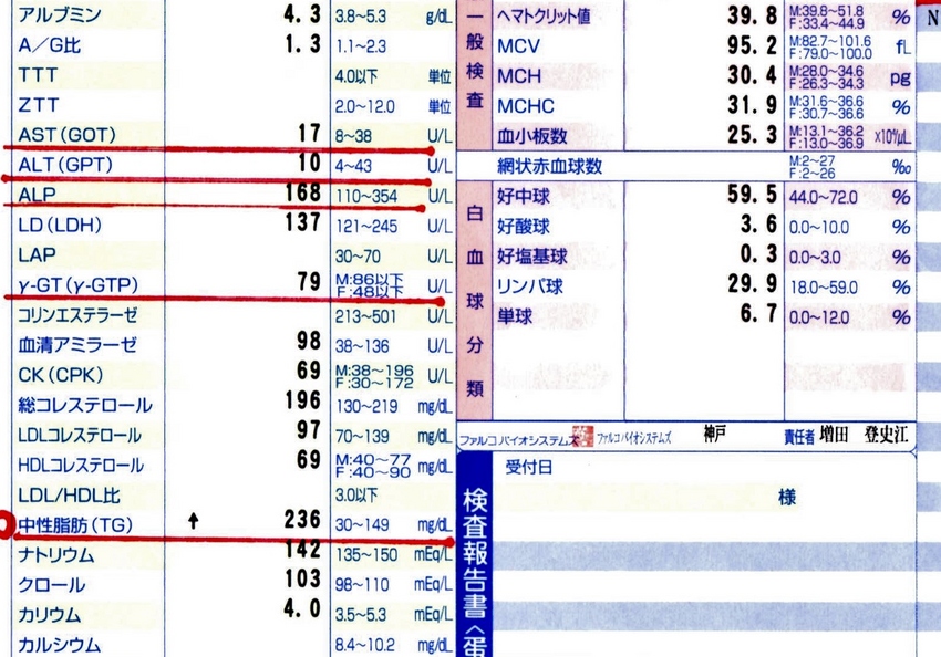 血液検査の結果が！