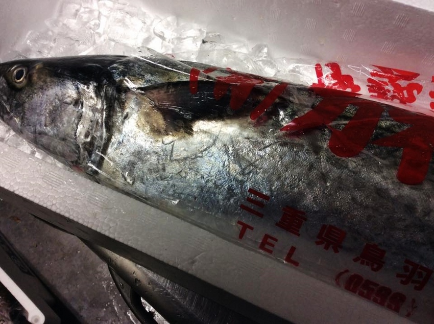 鰆、間八、平目！