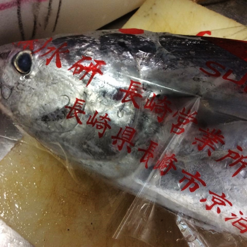 本日の魚！