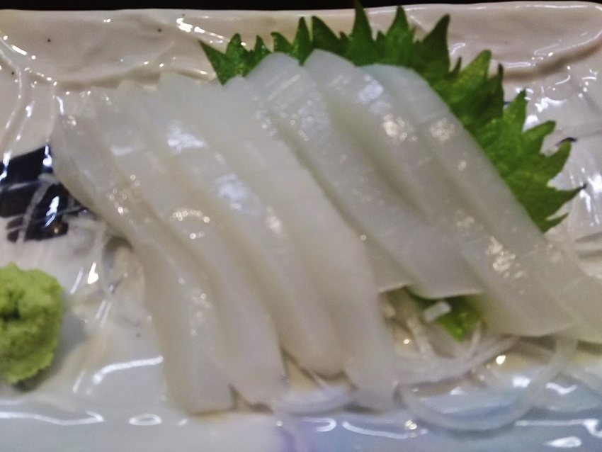 珍しい！由良の紋甲イカ
