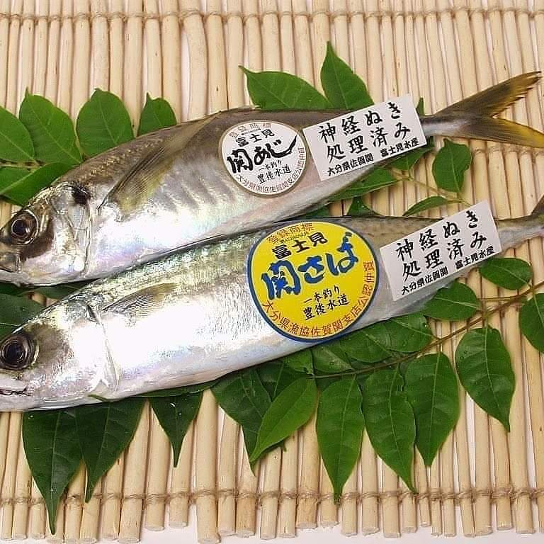 ブランド魚の関さば関あじが！