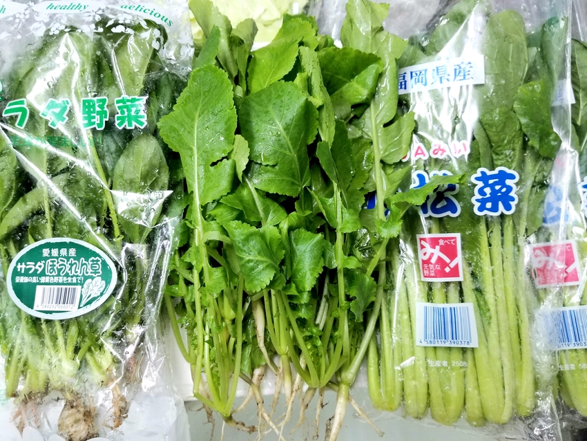 野菜料理を‼️