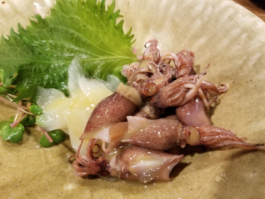 ホタルイカが美味しい季節‼️