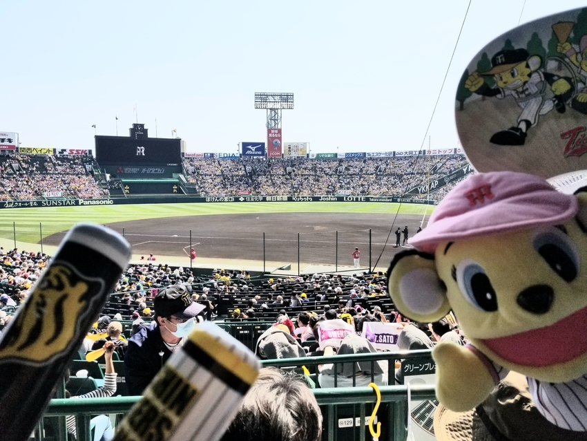 阪神甲子園球場に来てます‼️