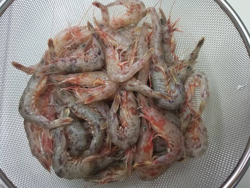 この時期美味しいサルエビ‼️