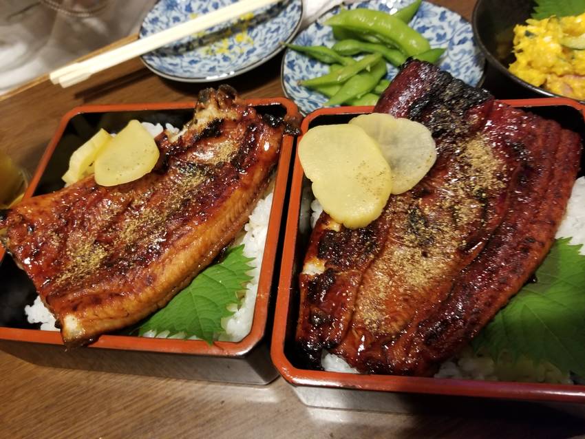 昨日は土用の丑の日で‼️