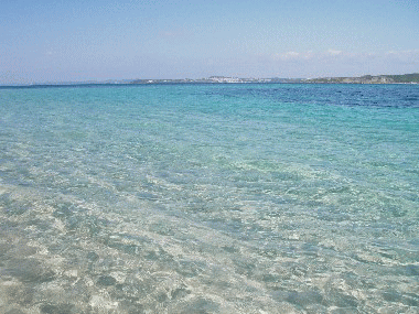 無人島　この海を見よ！