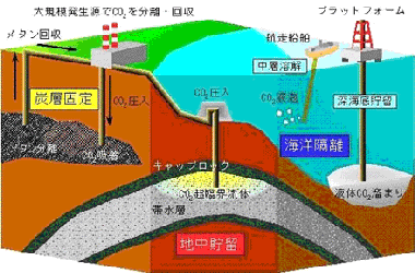 監禁　長期放置