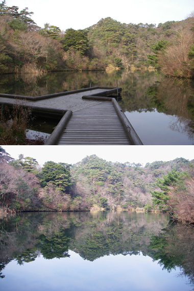 徳川の財宝