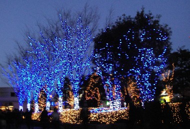 新宿鮫