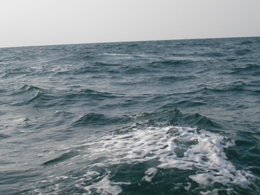 真冬の海