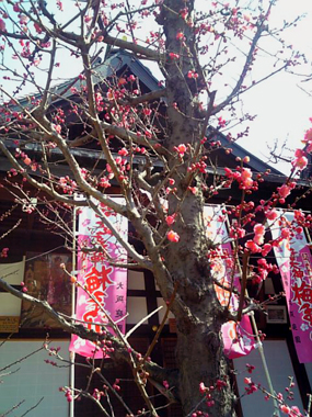 春だな