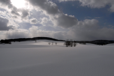 雪原