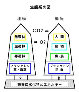 地球の掟