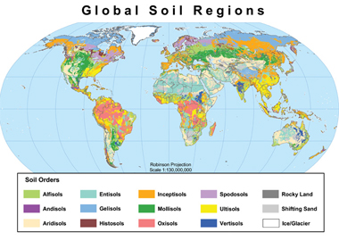 Soil
