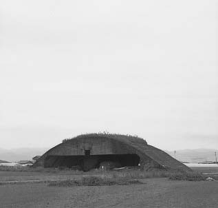 秘密基地　理想像