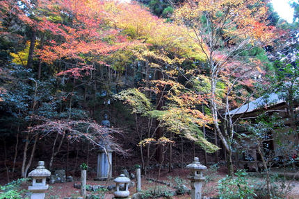晩秋の京都