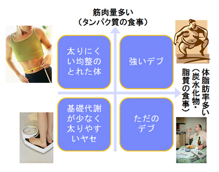 ダイエットの基本理論