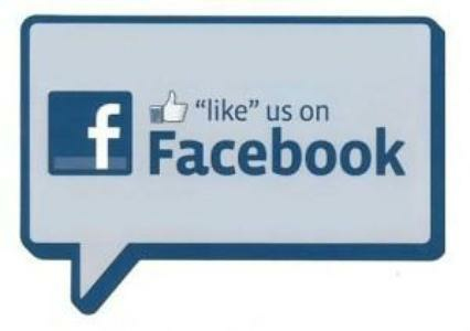 2000 Facebook LIKES US $19.99