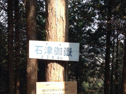 お散歩