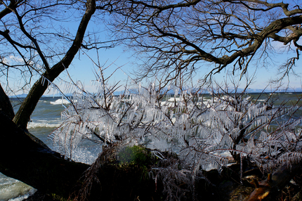 寒い琵琶湖