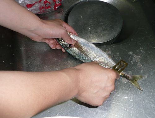 魚の調理勉強会