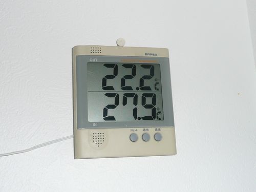 もう秋なんでしょうか