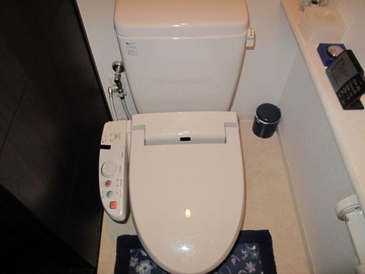 体型変化の実感