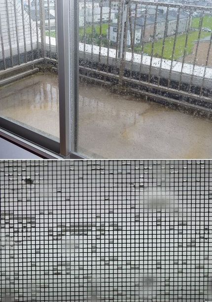 あああ矢張り雨・・・・山行きは...