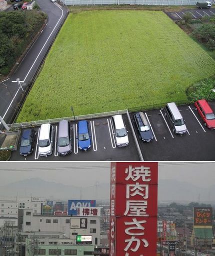 田植えから三ヶ月と一週経ちまし...