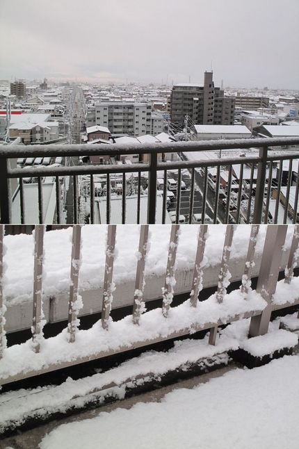 二年ぶりの積雪