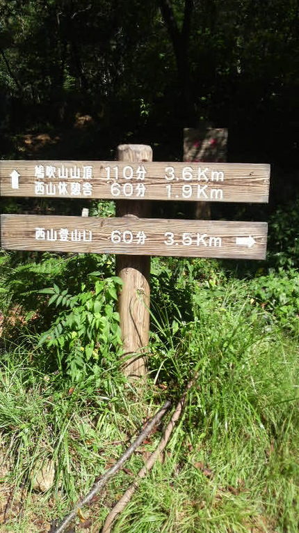 中間地点...