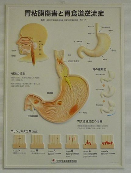 人間ドック中です