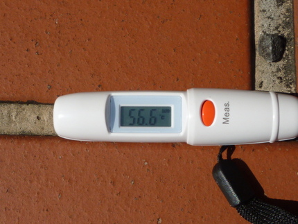 地表温度はなんと56.6℃