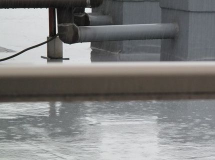 今朝は待ちかねた雨が降りました