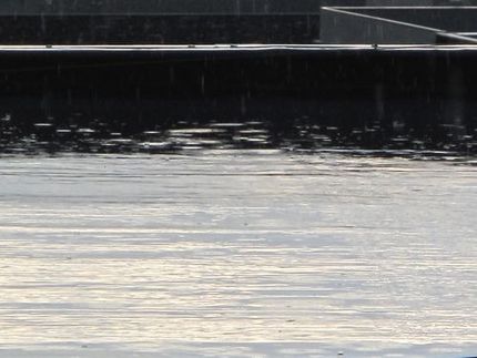 今朝は恵みの雨