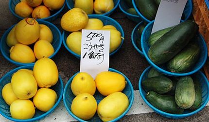 夏はこうせきうり（まくわうり）