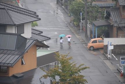 昨日も今日も雨、やっと涼しくな...